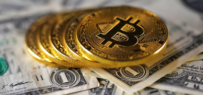Interactive brokers купить bitcoin send money приватбанк