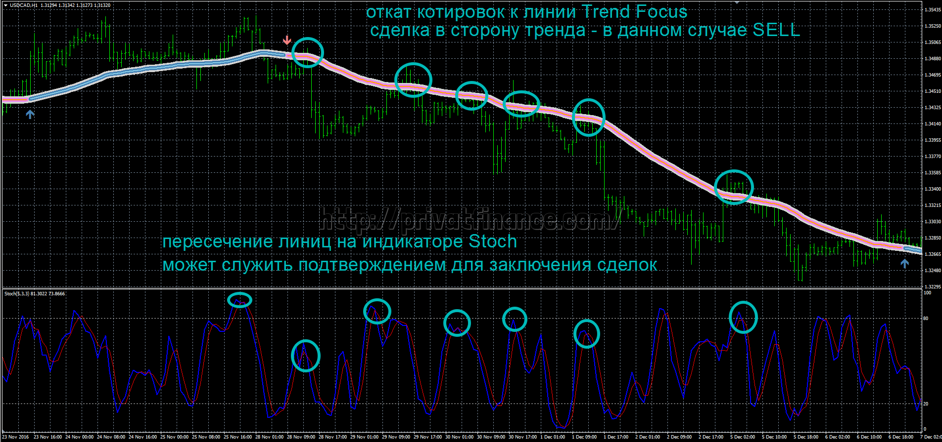 Торговля с применением индикатора Trend Focus