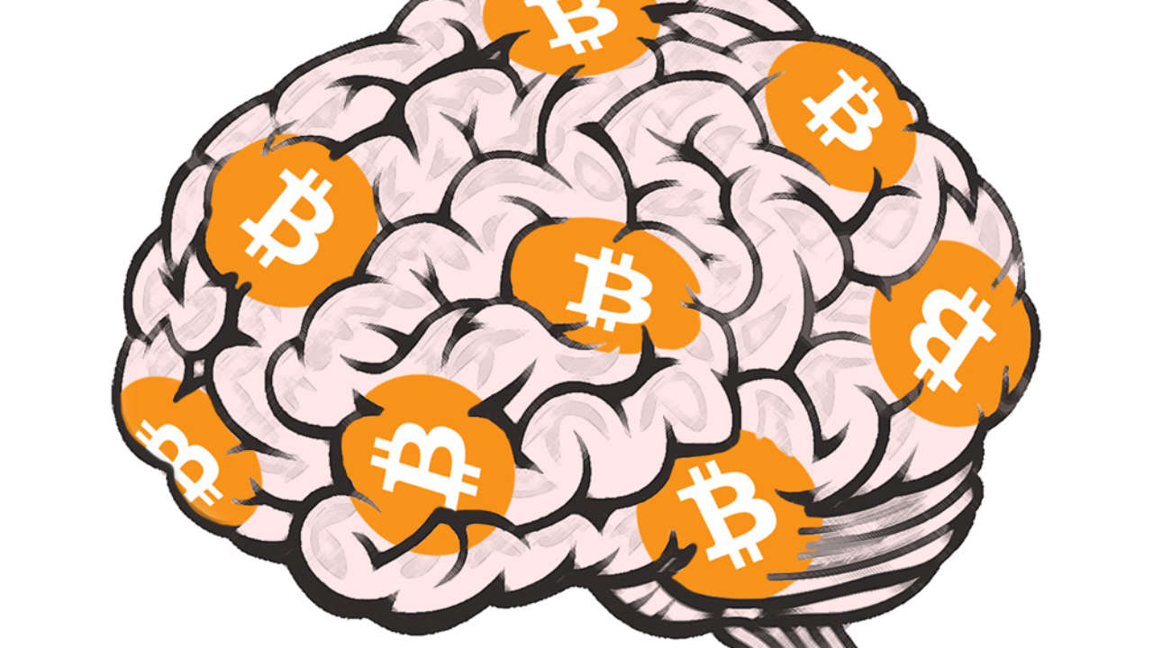 Что такое Brain Wallet? Как создать кошелёк для любых криптовалют?